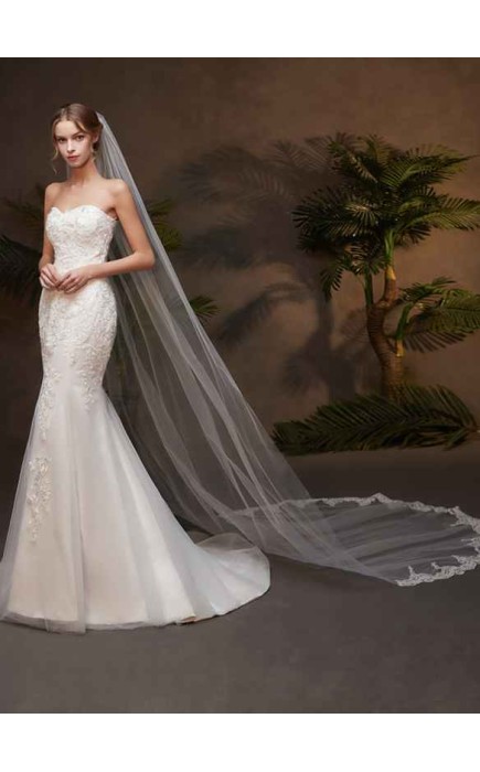 One-tier Lace Applique Edge Cathedral Bridal Veils With Lace