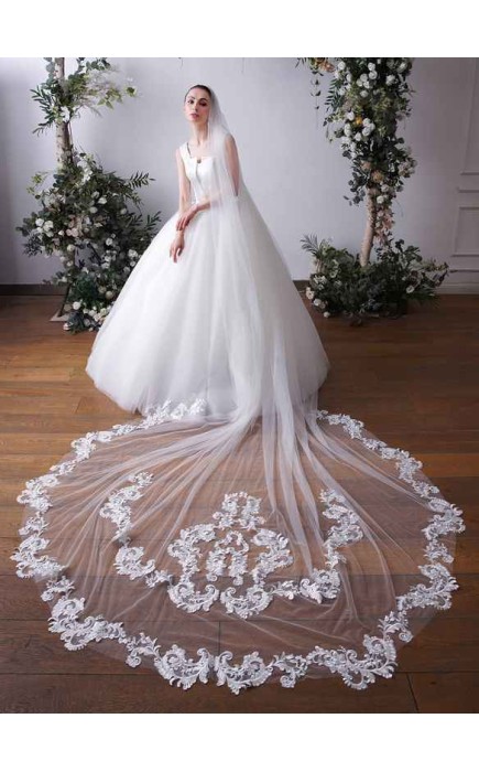 One-tier Lace Applique Edge Cathedral Bridal Veils With Lace