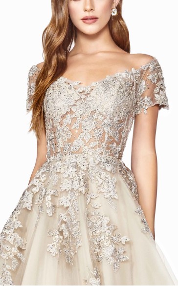 Cinderella Divine C20 Dress