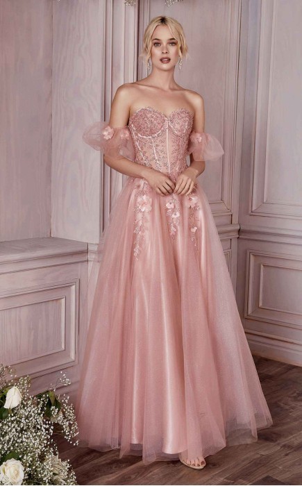 Cinderella Divine CD0191 Dress